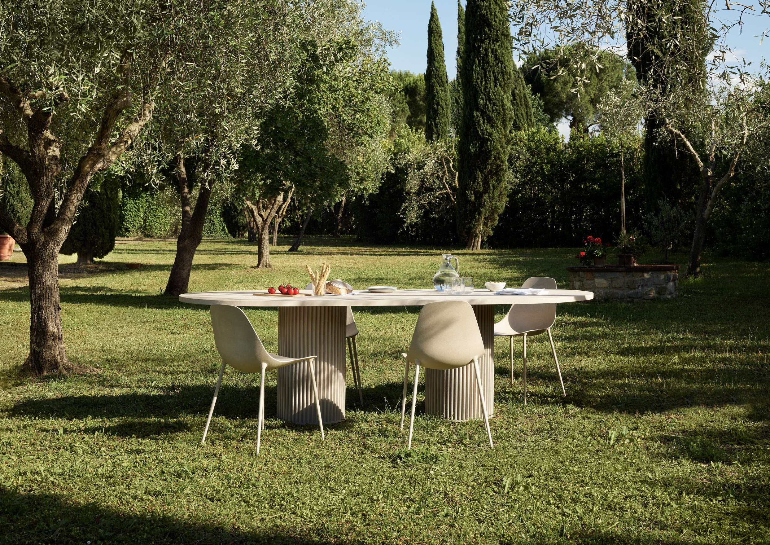 Long white table and chairs on a lawn among olive trees
