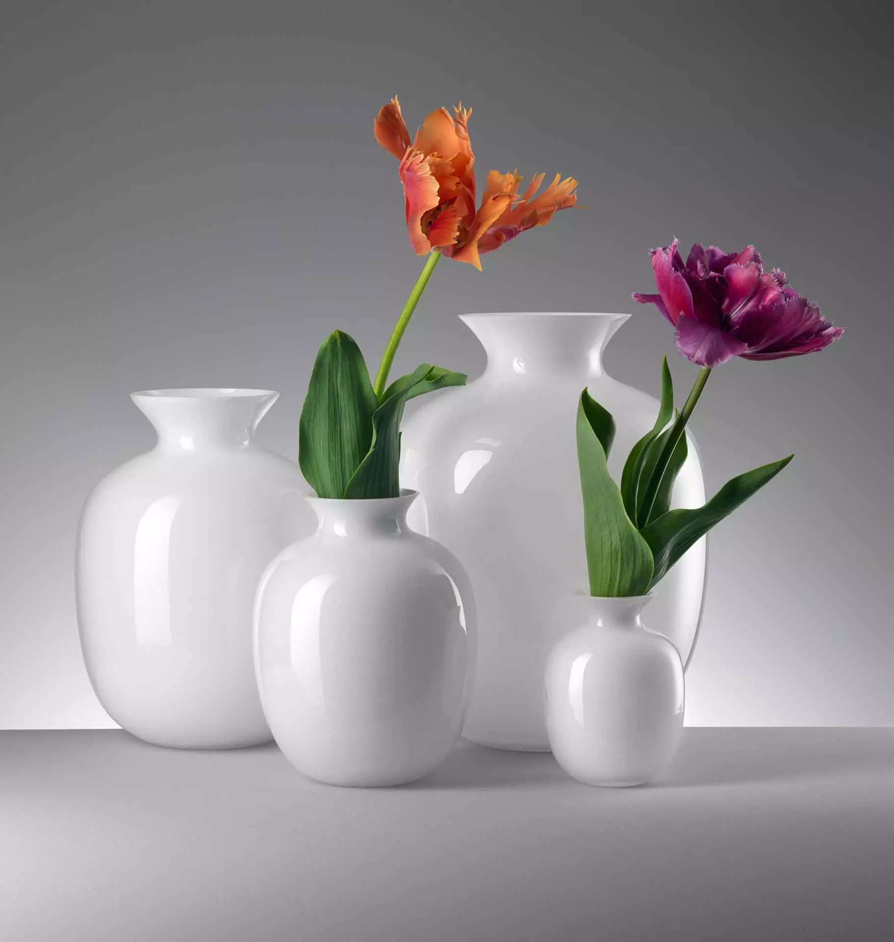 White glass vases of different sizes holding tulips