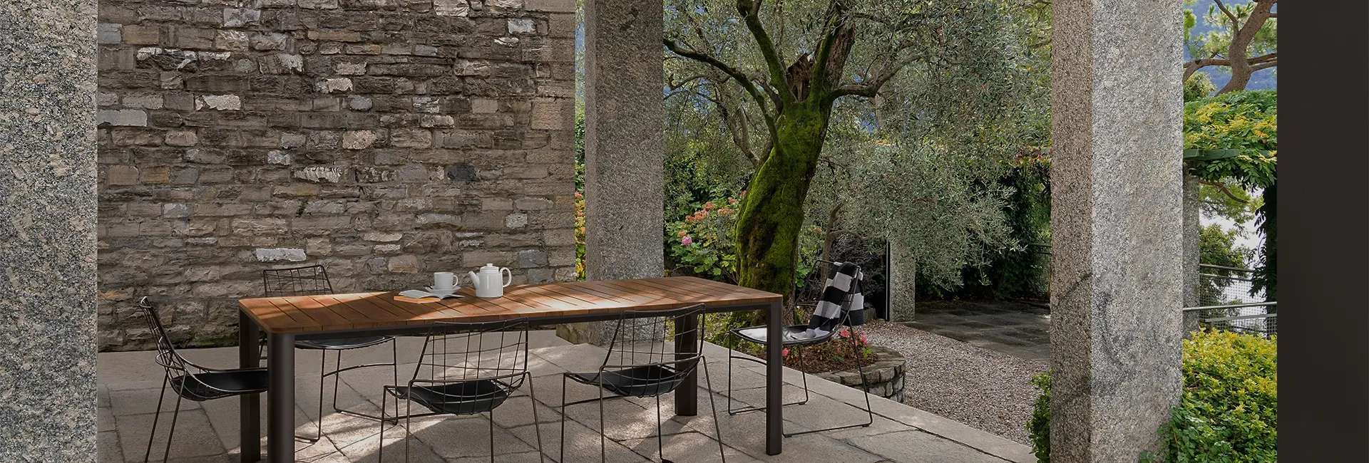 Outdoor table on a stone terrace beside an old olive tree